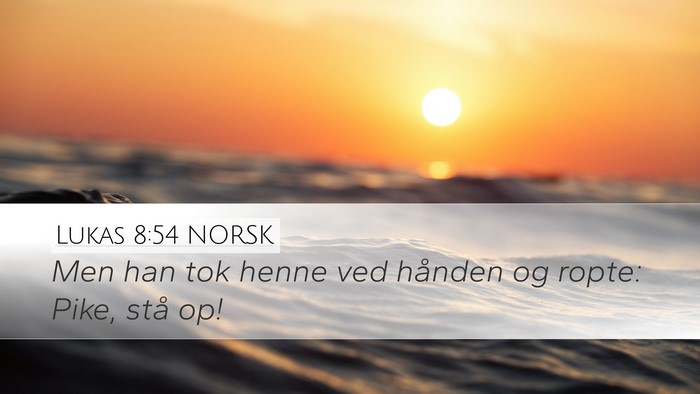 Lukas 8:54 NORSK Bible Verse Image
