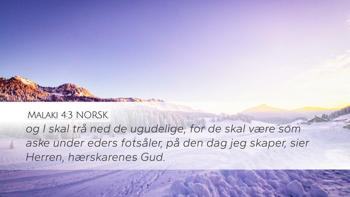 Malaki 4:3 NORSK Bible Verse Image