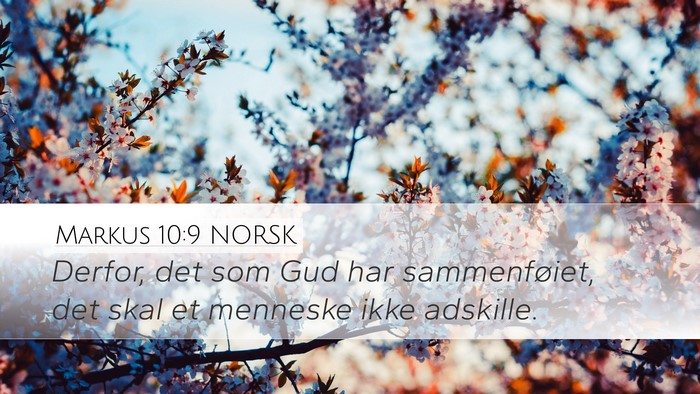 Markus 10:9 NORSK Desktop Wallpaper - Derfor, det som Gud har sammenføiet, det skal et - Desktop Bible Verse Wallpaper