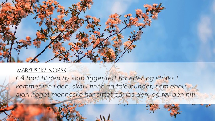 Markus 11:2 NORSK Bible Verse Image