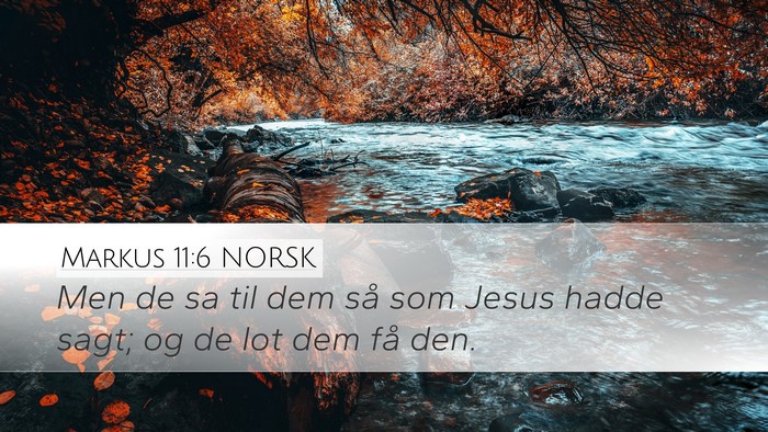 Markus 11:6 NORSK Desktop Wallpaper - Men de sa til dem så som Jesus hadde sagt; og de - Desktop Bible Verse Wallpaper