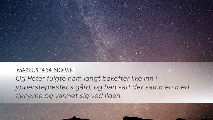 Markus 14:54 NORSK Bible Verse Image
