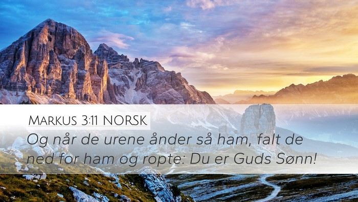 Markus 3:11 NORSK Bible Verse Image