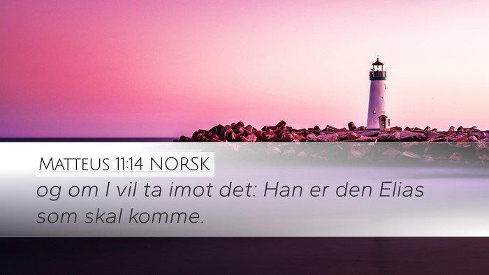 Matteus 11:14 NORSK Bible Verse Image