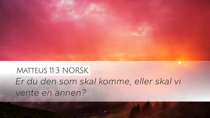 Matteus 11:3 NORSK Desktop Wallpaper - Er du den som skal komme, eller skal vi vente en - Desktop Bible Verse Wallpaper
