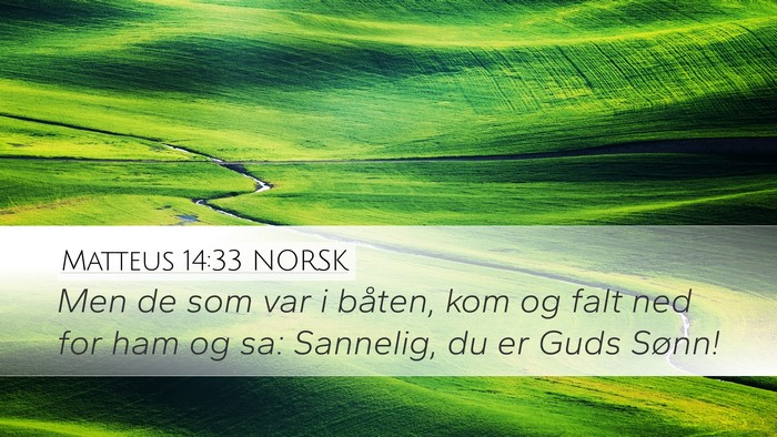 Matteus 14:33 NORSK Bible Verse Image