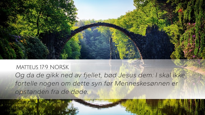 Matteus 17:9 NORSK Bible Verse Image