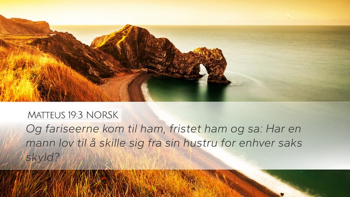Matteus 19:3 NORSK Bible Verse Image
