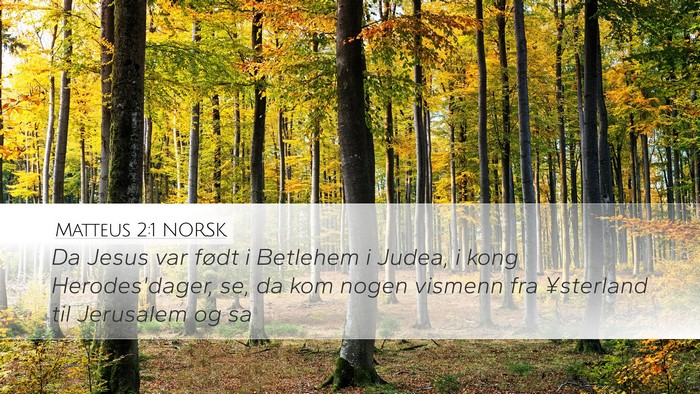 Matteus 2:1 NORSK Bible Verse Image