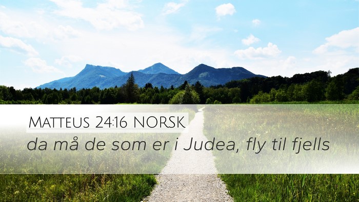 Matteus 24:16 NORSK Bible Verse Image
