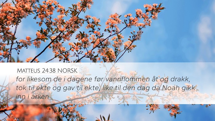 Matteus 24:38 NORSK Bible Verse Image