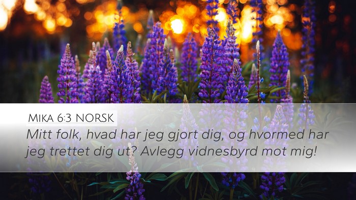 Mika 6:3 NORSK Bible Verse Image