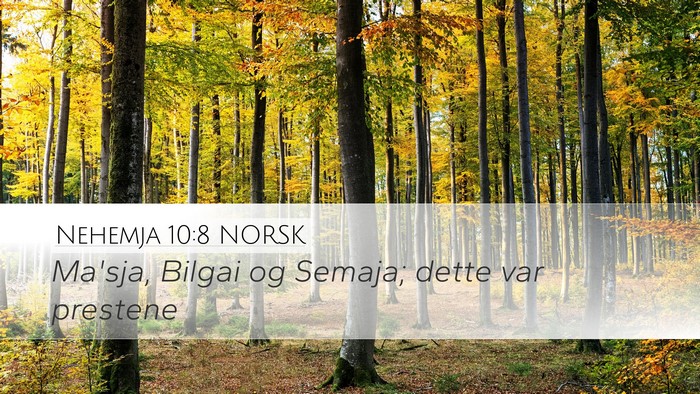 Nehemja 10:8 NORSK Desktop Wallpaper - Ma'sja, Bilgai og Semaja; dette var - Desktop Bible Verse Wallpaper