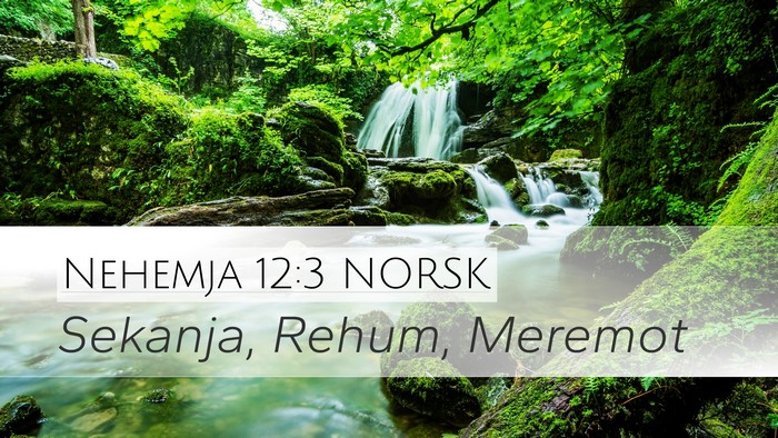 Nehemja 12:3 NORSK Bible Verse Image
