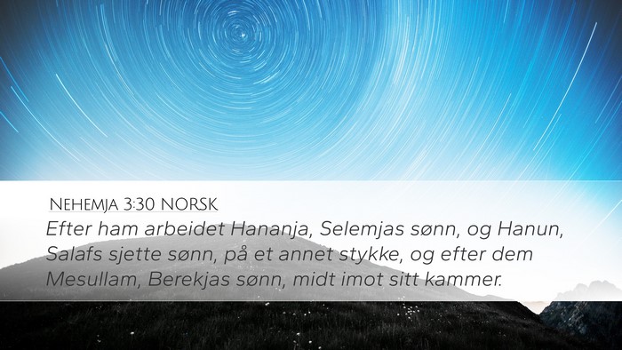 Nehemja 3:30 NORSK Bible Verse Image