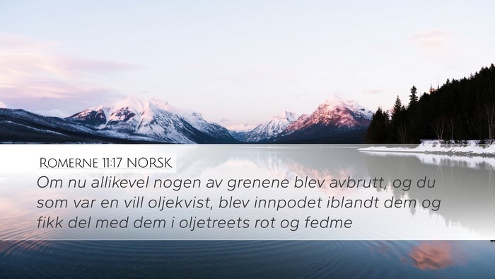 Romerne 11:17 NORSK Bible Verse Image
