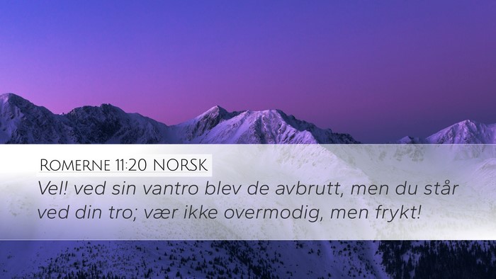 Romerne 11:20 NORSK Bible Verse Image