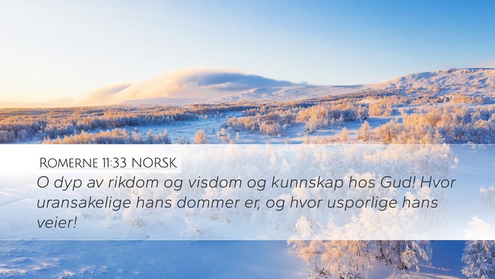 Romerne 11:33 NORSK Bible Verse Image