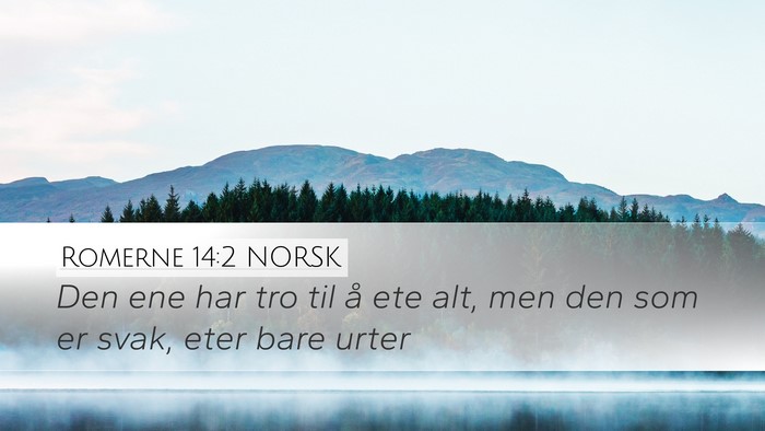 Romerne 14:2 NORSK Bible Verse Image