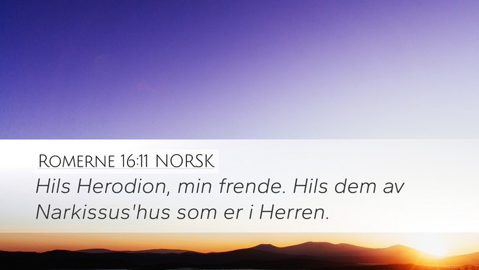 Romerne 16:11 NORSK Bible Verse Image