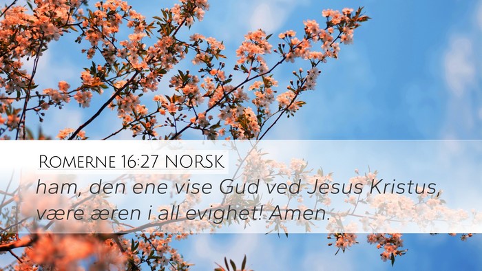 Romerne 16:27 NORSK Bible Verse Image