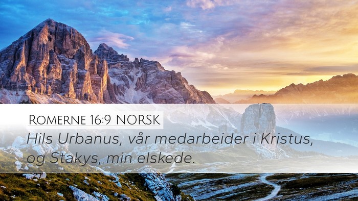 Romerne 16:9 NORSK Bible Verse Image