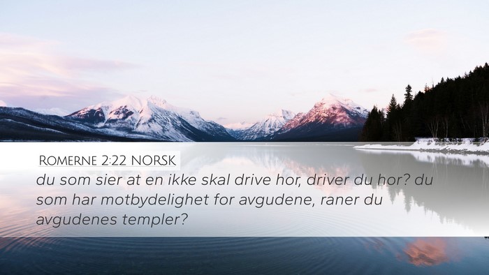 Romerne 2:22 NORSK Bible Verse Image