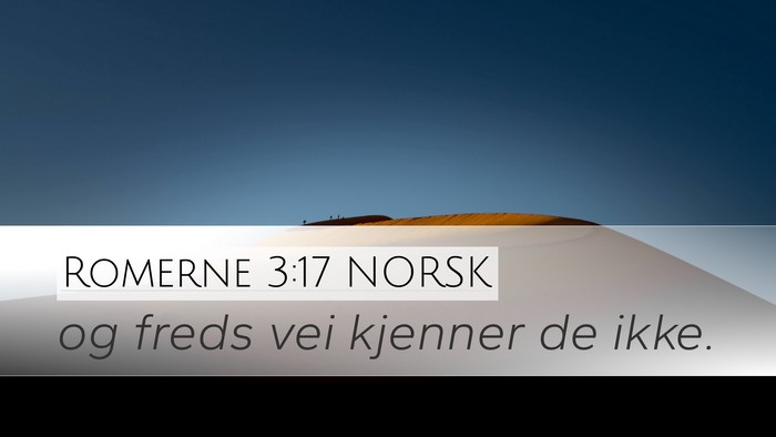 Romerne 3:17 NORSK Bible Verse Image