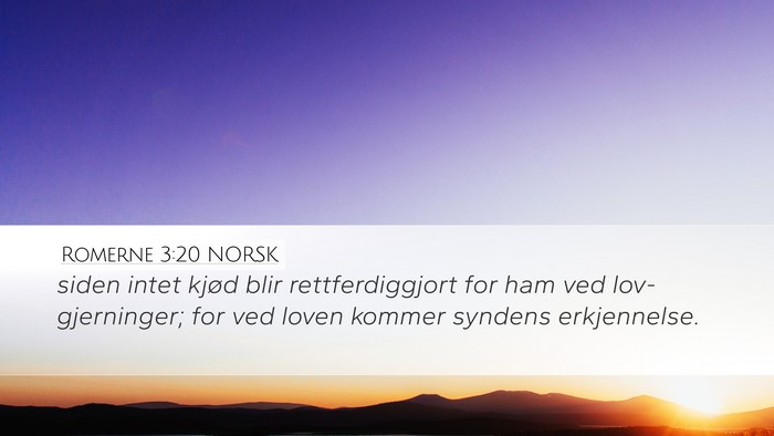 Romerne 3:20 NORSK Bible Verse Image