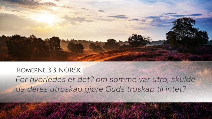 Romerne 3:3 NORSK Bible Verse Image