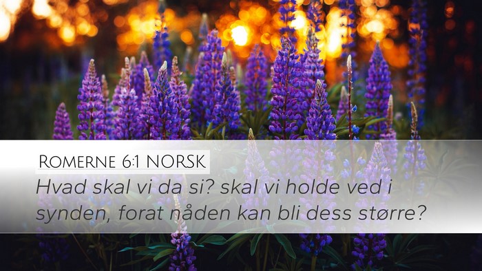Romerne 6:1 NORSK Bible Verse Image