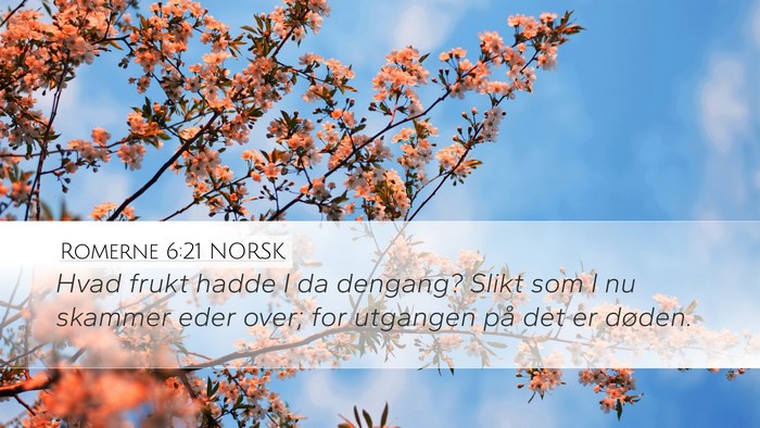 Romerne 6:21 NORSK Bible Verse Image