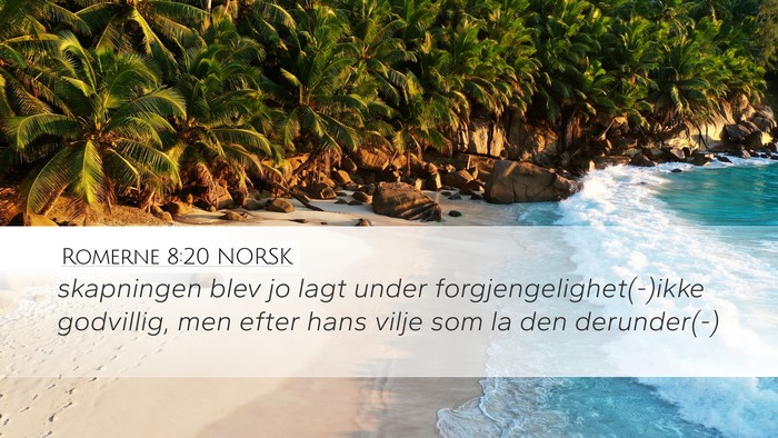 Romerne 8:20 NORSK Bible Verse Image
