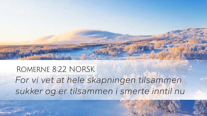 Romerne 8:22 NORSK Bible Verse Image