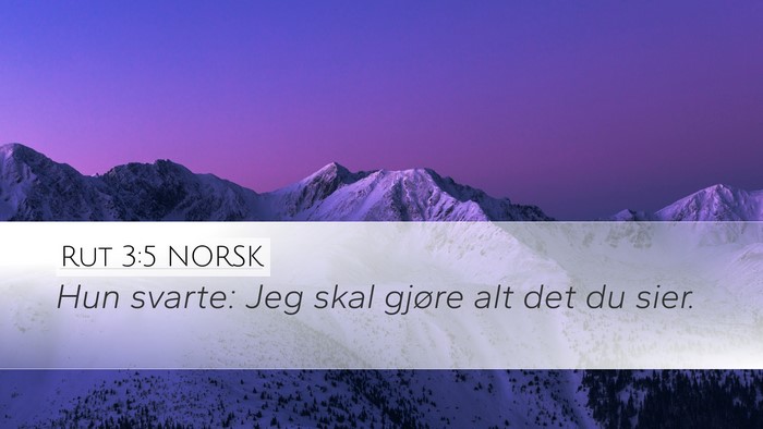 Rut 3:5 NORSK Desktop Wallpaper - Hun svarte: Jeg skal gjøre alt det du - Desktop Bible Verse Wallpaper
