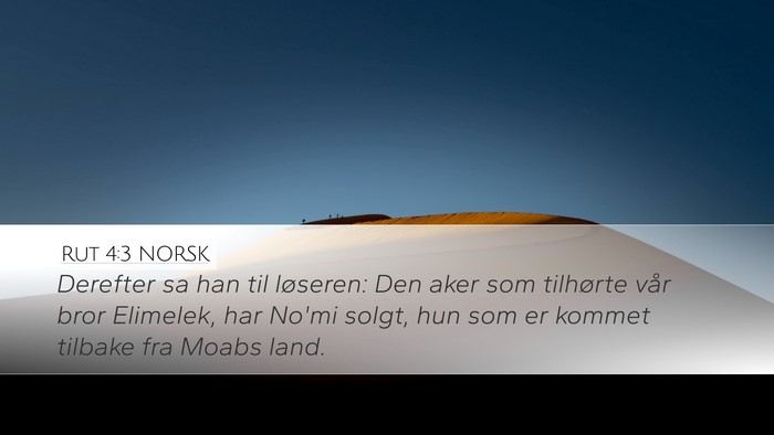 Rut 4:3 NORSK Bible Verse Image