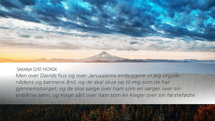 Sakarja 12:10 NORSK Bible Verse Image