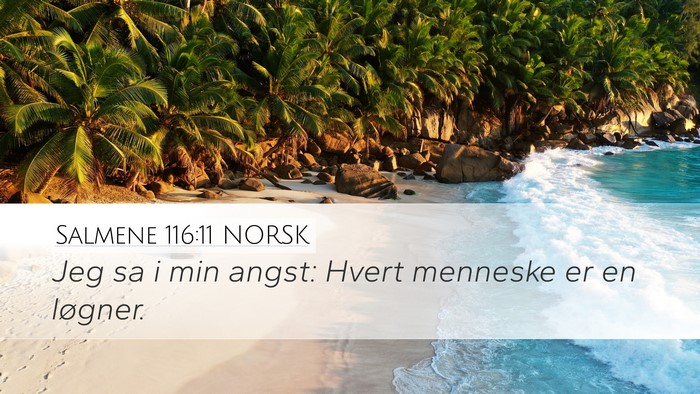 Salmene 116:11 NORSK Bible Verse Image