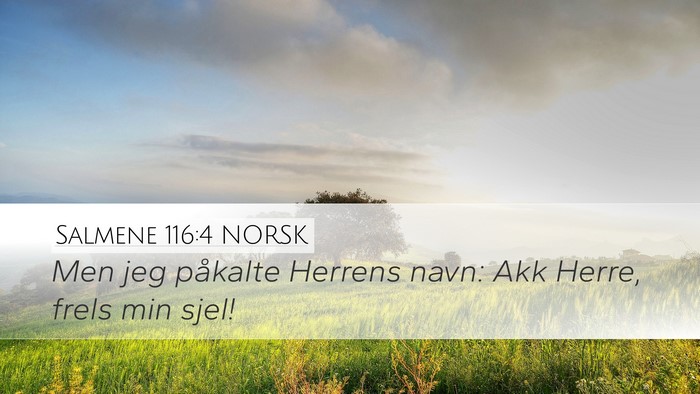 Salmene 116:4 NORSK Bible Verse Image