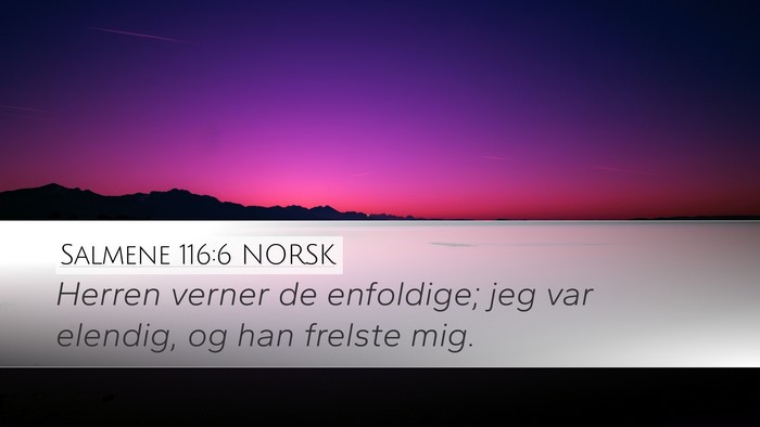Salmene 116:6 NORSK Bible Verse Image