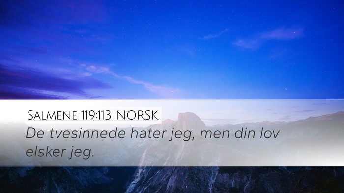 Salmene 119:113 NORSK Desktop Wallpaper - De tvesinnede hater jeg, men din lov elsker - Desktop Bible Verse Wallpaper