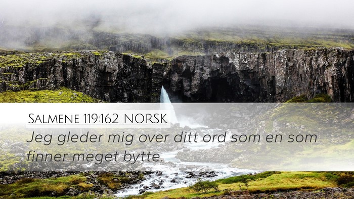 Salmene 119:162 NORSK Bible Verse Image