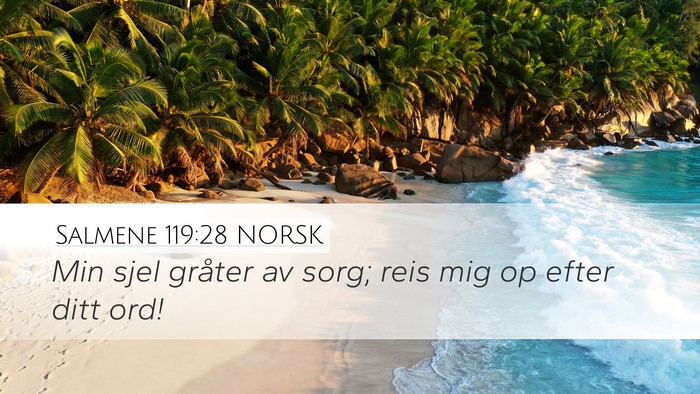 Salmene 119:28 NORSK Bible Verse Image