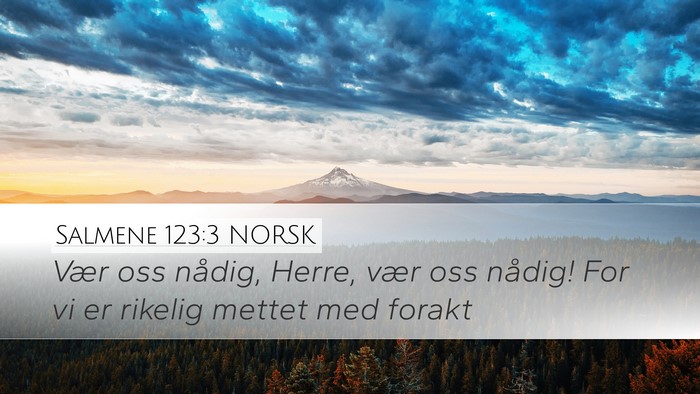 Salmene 123:3 NORSK Bible Verse Image