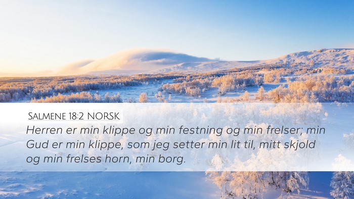 Salmene 18:2 NORSK Bible Verse Image