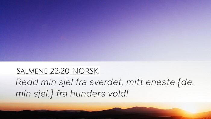 Salmene 22:20 NORSK Desktop Wallpaper - Redd min sjel fra sverdet, mitt eneste {de. min - Desktop Bible Verse Wallpaper