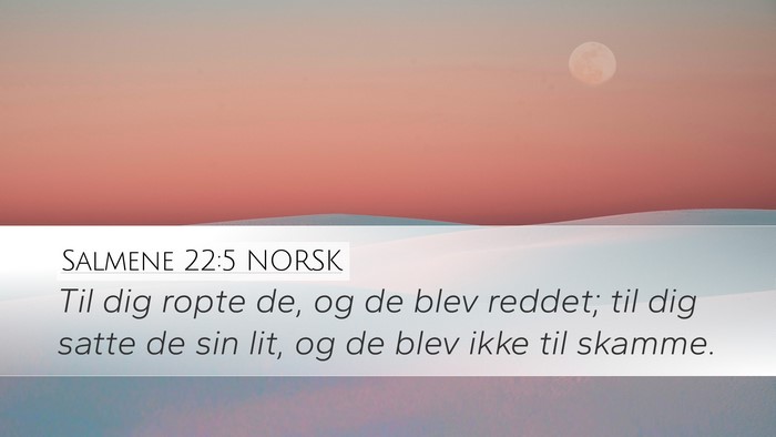 Salmene 22:5 NORSK Desktop Wallpaper - Til dig ropte de, og de blev reddet; til dig - Desktop Bible Verse Wallpaper