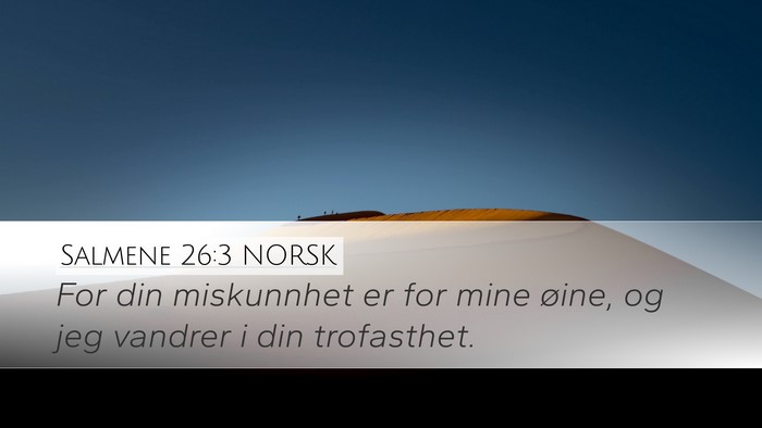 Salmene 26:3 NORSK Bible Verse Image