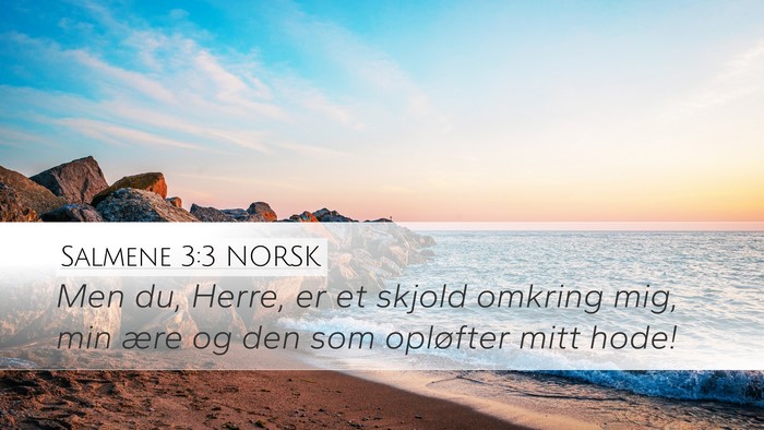Salmene 3:3 NORSK Bible Verse Image