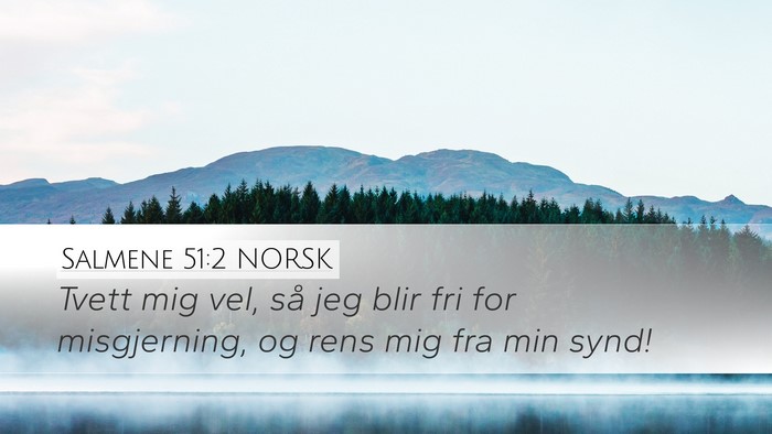 Salmene 51:2 NORSK Bible Verse Image